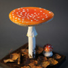 Zdjęcie: muchomor czerwony 5 - Amanita muscaria.jpg